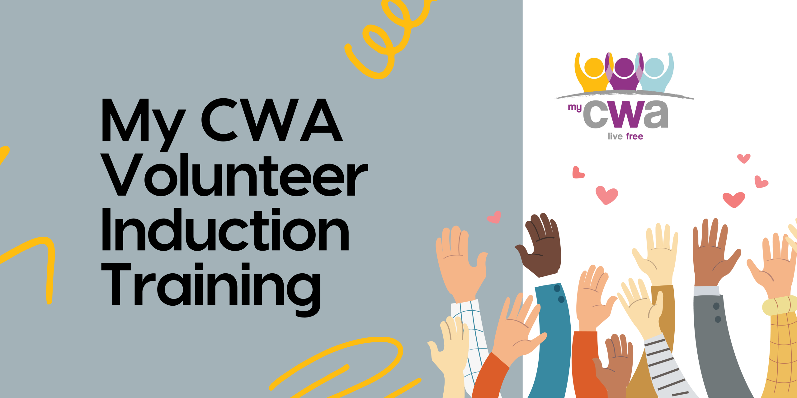 Volunteer Induction Training